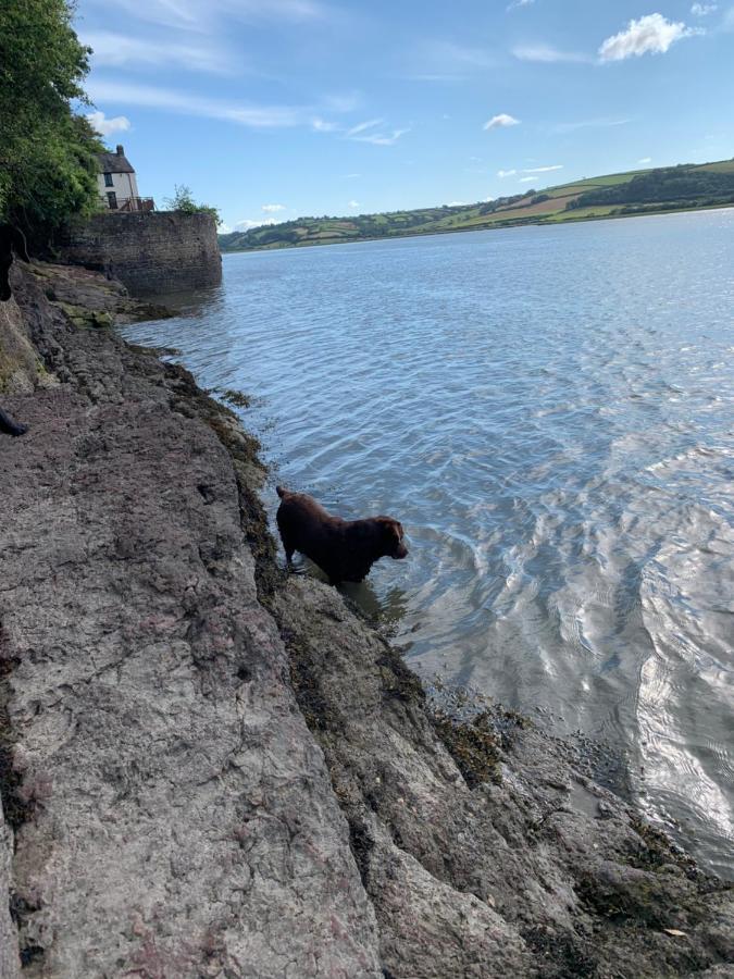 라파른 Dylan Thomas Sea View B&B 외부 사진