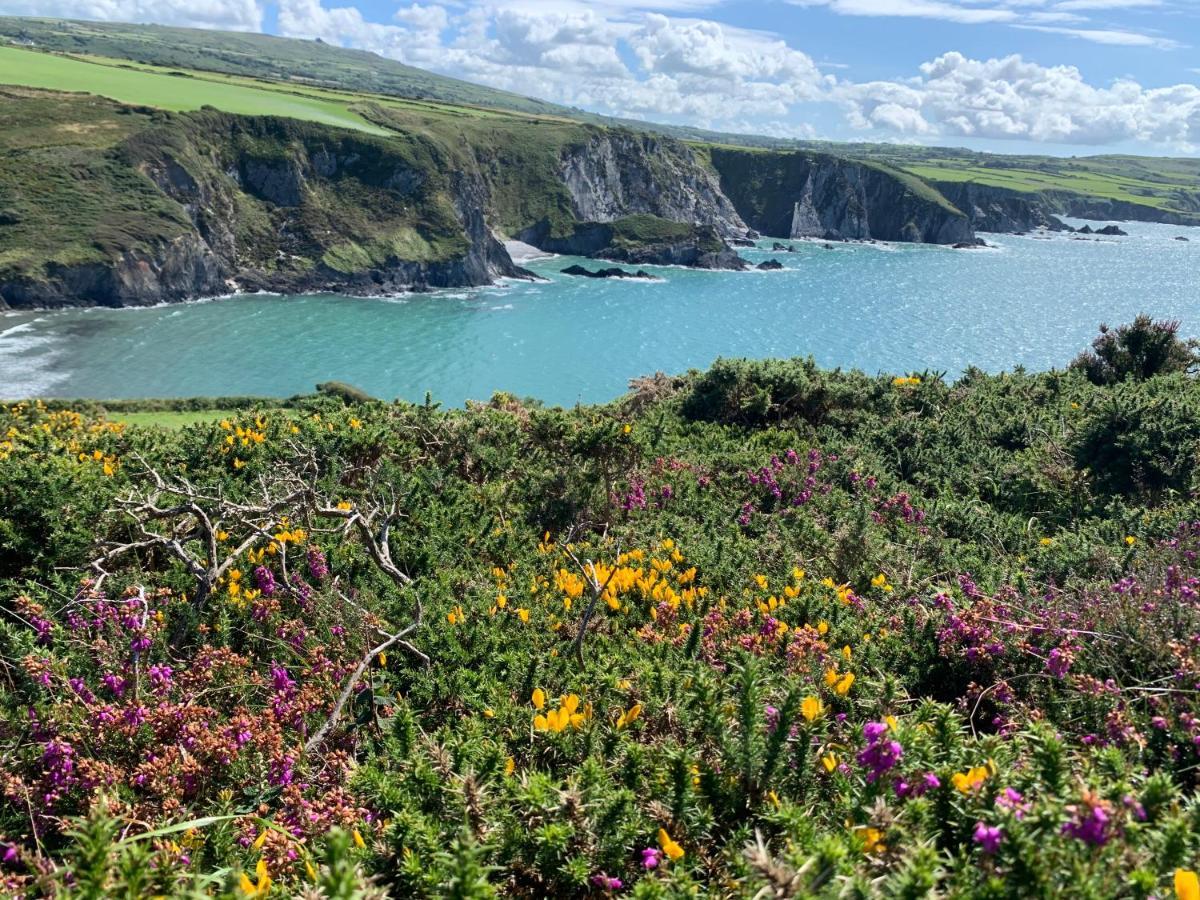 라파른 Dylan Thomas Sea View B&B 외부 사진